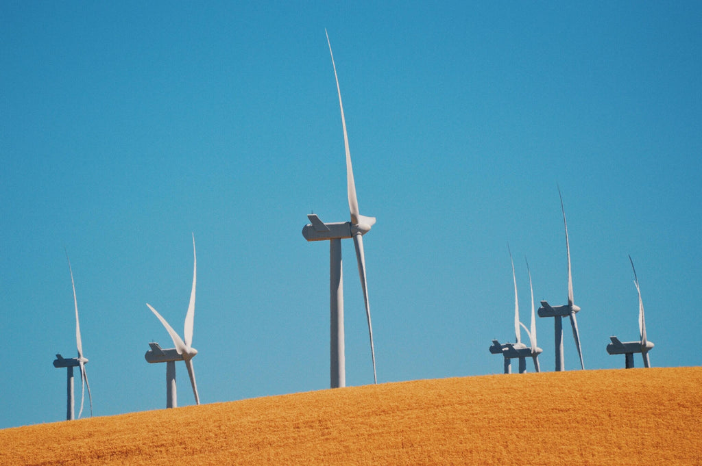 An image of a wind farm and wind turbines on a wheat field. There is a solid blue sky in the background.